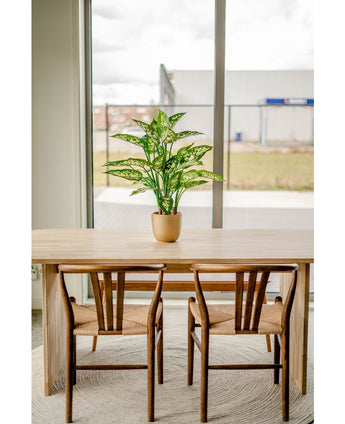 Kunstpflanze Dieffenbachia 75 cm