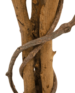 Kunstpflanze Ficus Grün/Weiß 90 cm