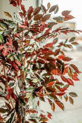 Kunstpflanze Ficus grün/rot 180 cm feuerhemmend