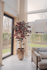 Kunstpflanze Ficus grün/rot 180 cm feuerhemmend