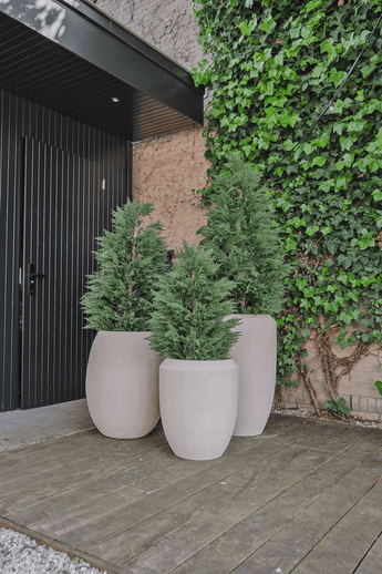 Kunstpflanze Konifere deluxe 150 cm UV