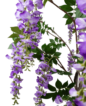 De Kunstplant Blauweregen 210 cm heeft trossen paarse blauweregenbloemen die aan dunne takken met groene bladeren hangen, tegen een effen witte achtergrond.
