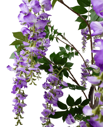 De Kunstplant Blauweregen 210 cm heeft trossen paarse blauweregenbloemen die aan dunne takken met groene bladeren hangen, tegen een effen witte achtergrond.