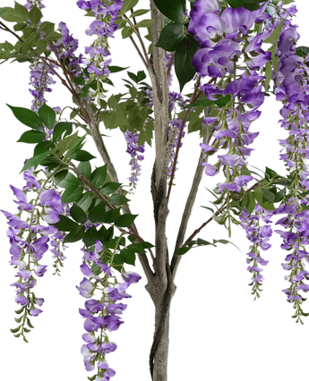 Een close-up van de Kunstplant Blauweregen 210 cm, met trossen hangende paarse bloemen en groene bladeren op houtachtige stengels, tegen een witte achtergrond.