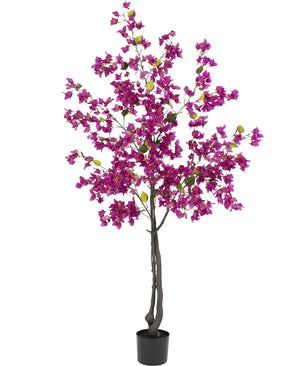 De Kunstplant Bougainvillea 180 cm Paars heeft levendige paarse bloemen en weelderige groene bladeren in een compacte zwarte pot, waardoor het een perfecte, kleurrijke kunstplant is voor in de woonkamer, geïsoleerd afgebeeld op een witte achtergrond.