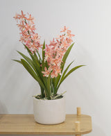 Die künstliche Cymbidium-Pflanze in Rosa (58 cm), eine grüne Pflanze mit langen Blättern und langen Stielen mit hellrosa Blüten in einem weißen Keramiktopf, steht auf einem hellen Holztisch vor einer schlichten weißen Wand.