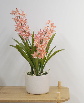Die künstliche Cymbidium-Pflanze in Rosa (58 cm), eine grüne Pflanze mit langen Blättern und langen Stielen mit hellrosa Blüten in einem weißen Keramiktopf, steht auf einem hellen Holztisch vor einer schlichten weißen Wand.