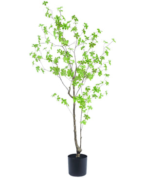 De Kunstplant Enkianthus 150 cm is een hoge potplant met dunne takken en kleine, levendige groene bladeren tegen een witte achtergrond.