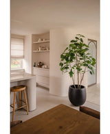 Ein moderner, minimalistischer Küchen- und Essbereich in neutralen Tönen verfügt über offene Regale, eine geschwungene Insel mit Holzhocker, ein Ess-Set aus Holz und die Kunstpflanze Ficus 210 cm als stilvolle Topfpflanze. Natürliches Licht erhellt den Raum.