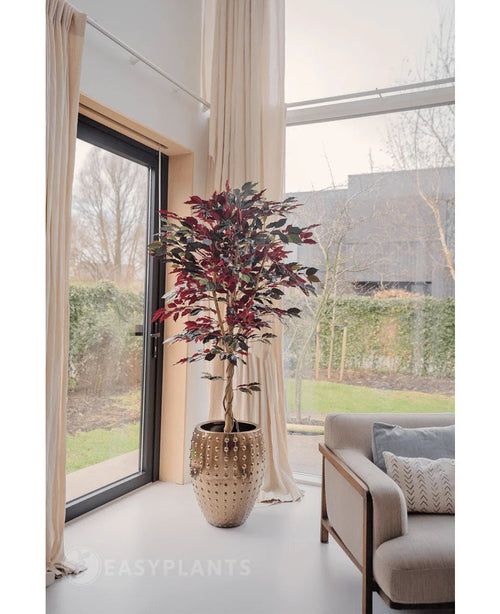 Eine künstliche Ficus-Pflanze in Grün/Rot, 180 cm, feuerfest, mit dunkelgrünen und roten Blättern, steht neben einem großen Fenster mit cremefarbenen Vorhängen in einem hellen, modernen Wohnzimmer neben einem beigen Sofa mit gemusterten Kissen. Draußen sind Bäume und ein Haus zu sehen.