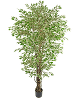De Kunstplant Hawaiian Ficus Liana 180 cm is een hoge kunstboom met groen en wit bonte bladeren in een zwarte pot, tegen een effen witte achtergrond.