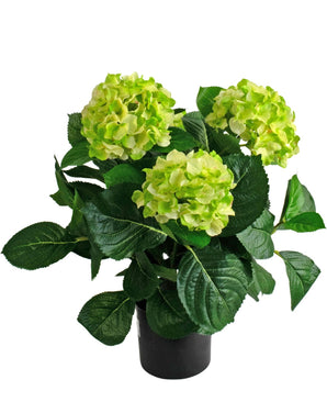 De Kunstplant Hortensia UV 43 cm groen heeft drie grote trossen lichtgroene hortensiabloemen met donkergroene bladeren in een pot, tegen een witte achtergrond.