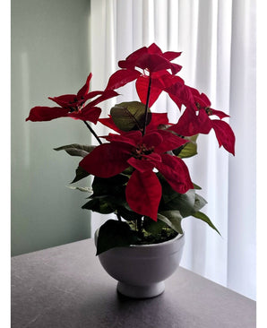 De Kunstplant Kerstster 44 cm rood, met levendige rode bladeren, staat op een grijs vlak bij een raam met witte gordijnen, badend in zacht natuurlijk licht.