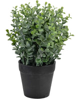 De Kunstplant Pumila 23 cm is een kleine kunstplant in pot met dichte groene bladeren in een eenvoudige zwarte pot, tegen een effen witte achtergrond.