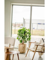 De Kunstplant Schefflera 120 cm staat in een houten bak bij het raam in een lichte, moderne kamer met een houten stoel, kleine tafel, kopje en neutrale decoratie.