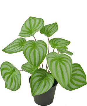 De Kunstplant Watermeloen 29 cm is een kunstplant in pot met groene, hartvormige bladeren, met licht- en donkergroene strepen die de schil van een watermeloen nabootsen.