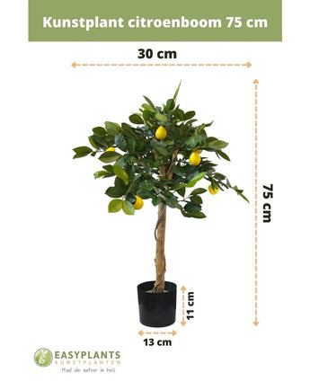 Kunstplant citroenboom 75 cm met groene bladeren en nep citroenen in een zwarte sierpot (13x11 cm). Hoogte: 75 cm, breedte: 30 cm. Met Green Easyplants-logo onderaan.