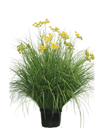 Kunstrasen Pflanze Asteraceae 100 cm feuerhemmend