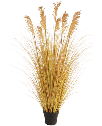 Kunstrasen Sorghum Zwiebel 150 cm feuerhemmend