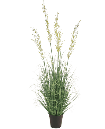 Kunstrasen Weizen 120 cm feuerhemmend