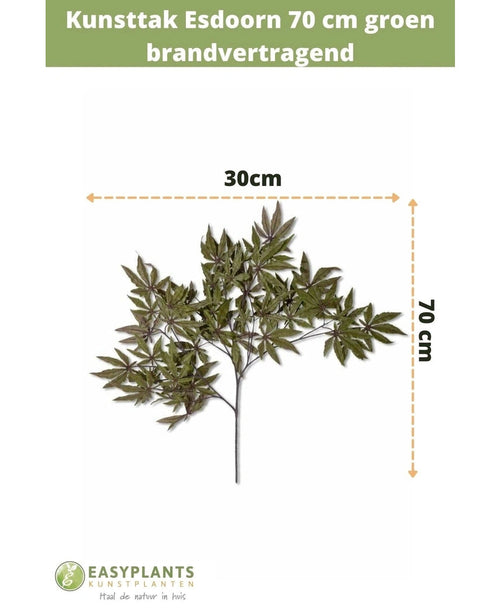 Künstlicher Ahornzweig 70 cm grün feuerfest, 30 cm breit, vor weißem Hintergrund mit Größenangabe. Text oben, Easyplants Kunstplanten-Logo unten. Ideal für einen herbstlichen Akzent in Ihrem Interieur.