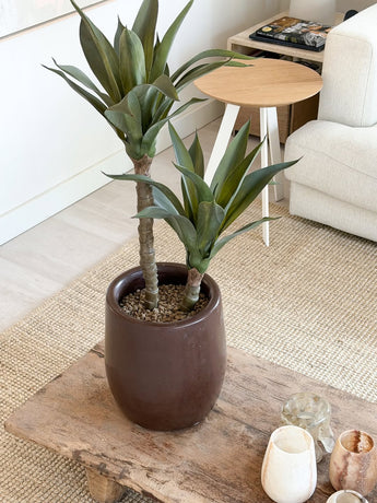 Eine 76 cm lange künstliche Agavenpflanze mit zwei langen Stielen und grünen, spitzen Blättern steht auf einem hölzernen Couchtisch in einem gemütlichen Wohnzimmer mit einem cremefarbenen Sofa, einem runden Beistelltisch und neutralem Dekor.