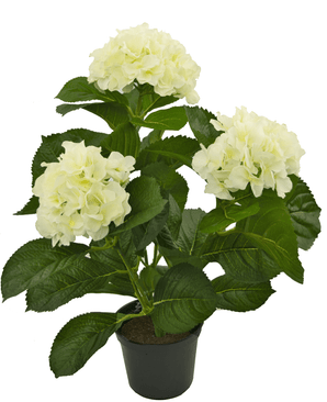 Synthetische Hortensie Weiß 35 cm