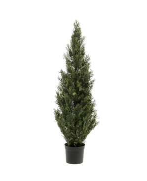 De Kunstplant Conifeer UV 120cm, een hoge en smalle kunstgroene groenblijver met dicht groen blad in een kleine zwarte pot, wordt getoond tegen een effen witte achtergrond.