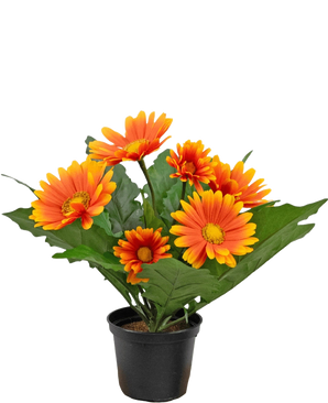 De Kunstplant Gerbera UV 28 cm oranje heeft kunstmatige oranje en gele margrietachtige bloemen met groene bladeren in een zwarte pot, perfect om elke ruimte op te fleuren.