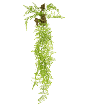 Die künstliche Hängepflanze Farn Mix Deluxe 100 cm hat lebensechte grüne Farnblätter und freiliegende Wurzeln mit gemahlenen Klumpen, die elegant vor einem schlichten weißen Hintergrund hängen.