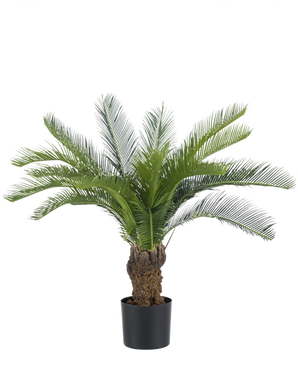 De Kunstplant Cycaspalm 80 cm heeft lange, gebogen groene palmvaren en een dikke, gestructureerde stam. De plant staat in een eenvoudige zwarte pot tegen een effen witte achtergrond.