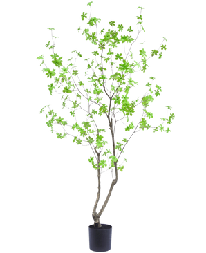 Die Kunstpflanze Enkianthus 180 cm ist eine hohe, schlanke Topfpflanze mit dünnen Zweigen und leuchtend grünen Blättern vor einem schlichten weißen Hintergrund.