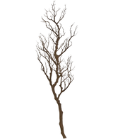 De Kunst decoratie tak 118 cm is een hoge, bladerloze decoratieve tak met vele dunne, kronkelende stengels die omhoog steken, weergegeven tegen een effen witte achtergrond.