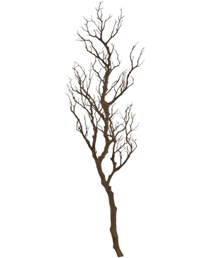 Der Art Decorative Branch 118 cm ist ein hoher, blattloser Dekozweig mit vielen dünnen, gedrehten Stielen, die nach oben ragen und vor einem schlichten weißen Hintergrund präsentiert werden.