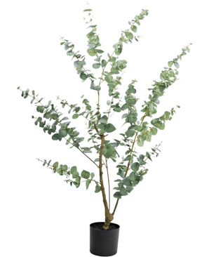De Kunstplant Eucalyptus 150 cm is een hoge kunst eucalyptus in pot met lange, slanke takken en ronde, zilvergroene bladeren, tegen een effen witte achtergrond.