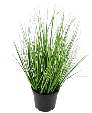 De Kunst Grasplant Ui 33 cm (brandvertragend) heeft lange, dunne, groene grasachtige bladeren in een kleine zwarte pot, tegen een effen witte achtergrond.