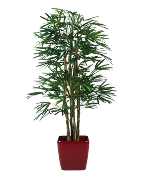 Lady Kunstpalm 210 cm, een kunstpalm met slanke groene bladeren en meerdere dunne stelen, staat in een glanzend rode vierkante plantenbak tegen een effen witte achtergrond.