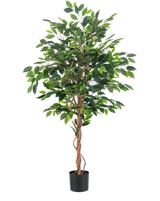 De Kunstplant Ficus Groen 150 cm heeft meerdere groene bladeren en gevlochten bruine stammen in een eenvoudige zwarte pot, tegen een effen witte achtergrond.