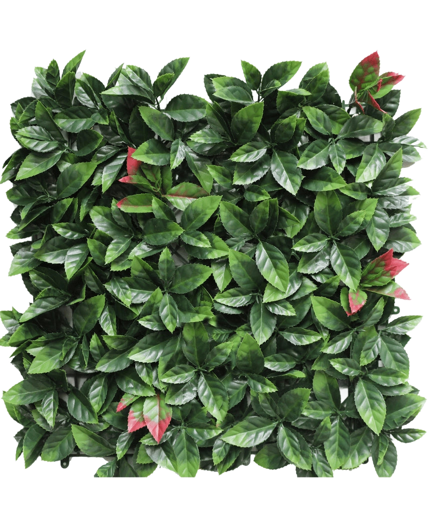 Die künstliche Hecke Photonia rot 50x50 cm UV ist ein quadratisches künstliches Heckenpaneel mit dichten grünen Blättern mit vereinzelten rot getönten Büscheln, die alle auf einem weißen Hintergrund präsentiert werden.