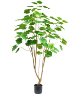 De Kunstplant Ficus 180 cm is een hoge kamerplant in pot met meerdere slanke bruine stengels en grote groene bladeren, afgebeeld tegen een effen witte achtergrond.