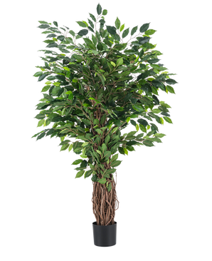 De Kunstplant Ficus Tropisch Liana 150 cm is een hoge kunstboom met een gevlochten stam en dichte groene bladeren, weergegeven in een kleine zwarte pot tegen een effen witte achtergrond.