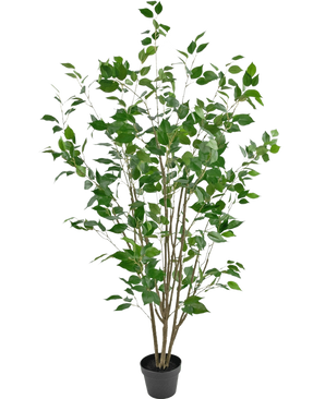 Die Kunstpflanze Ficus 150 cm ist ein Kunstbaum im Topf mit mehreren schlanken braunen Stämmen und sattgrünen Blättern vor einem schlichten weißen Hintergrund.