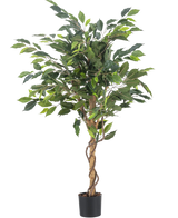 De Kunstplant Ficus Groen 120 cm heeft groene bladeren en een gedraaide stam, in een kleine zwarte pot tegen een effen witte achtergrond.