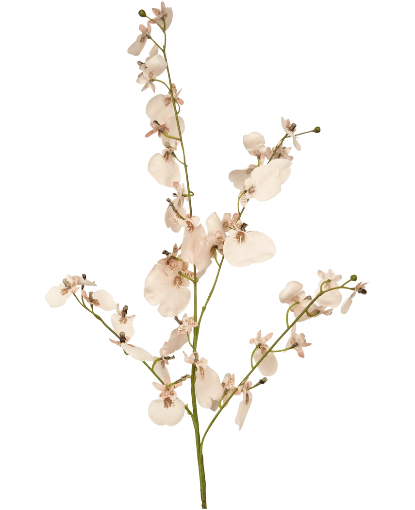 Die künstliche Zweigorchidee 80 cm rosa hat einen einzelnen Stiel aus hellrosa künstlichen Orchideen mit mehreren Blüten und kleinen Knospen auf dünnen grünen Zweigen vor einem schlichten weißen Hintergrund.