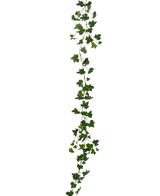De Kunst hangplant Klimop slinger deluxe 180 cm groen is een lange, groene klimop-slinger met puntige bladeren die verticaal hangt tegen een effen witte achtergrond.