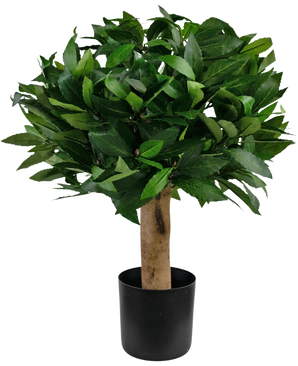 De Kunstplant Laurier UV d30 cm heeft dichte groene bladeren en een dikke stam, gepresenteerd in een eenvoudige zwarte pot.