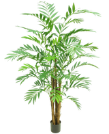 De Kunstplant Hawaii Parlour 180 cm is een hoge kamerpalm in pot met meerdere slanke bruine stammen en lange, gebogen groene bladeren, tegen een effen witte achtergrond.