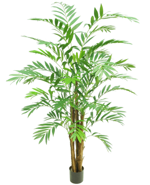 De Kunstplant Hawaii Parlour 180 cm is een hoge kamerpalm in pot met meerdere slanke bruine stammen en lange, gebogen groene bladeren, tegen een effen witte achtergrond.