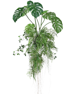 Die künstliche Hängepflanze Monstera/Farnball 100 cm XL besteht aus üppig grünen Monstera-Blättern und Farnen mit langen, nachhängenden Ranken und Wurzeln, perfekt, um jedem Raum vor einem weißen Hintergrund mehr Grün zu verleihen.