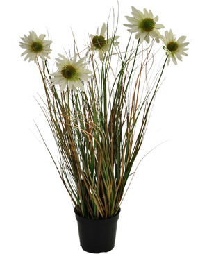 De Kunstgras chrysant uienpot 60cm brandvertragend heeft lange, dunne groene en bruine bladeren met meerdere hoge stelen met daarop witte margrietachtige bloemen met een geel hart.